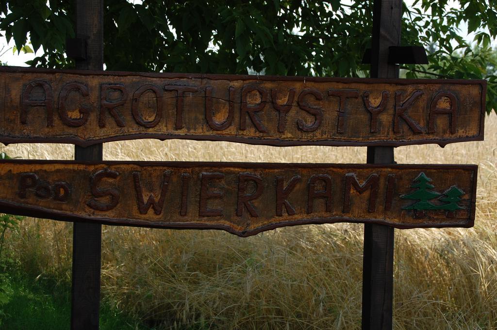 Agroturystyka Pod Swierkami Nadrybie Exterior photo